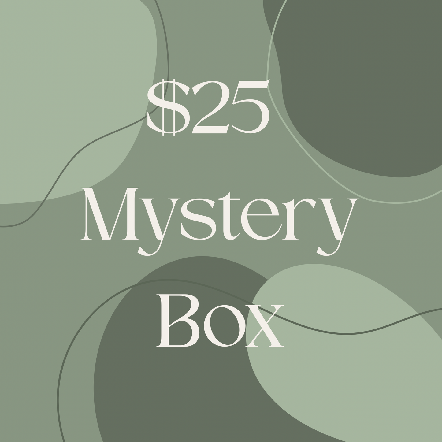 $25 Mystery Box