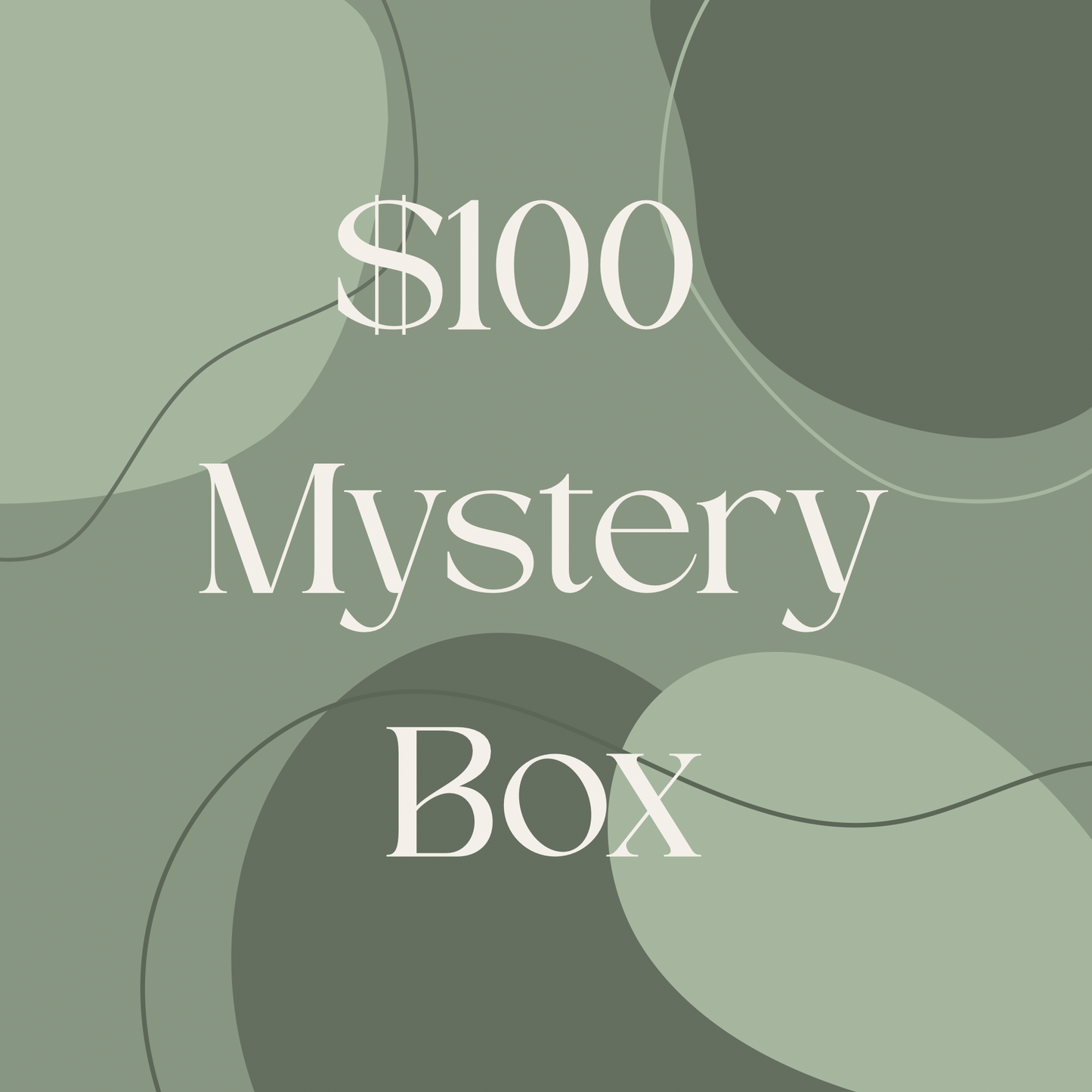 $100 Mystery Box