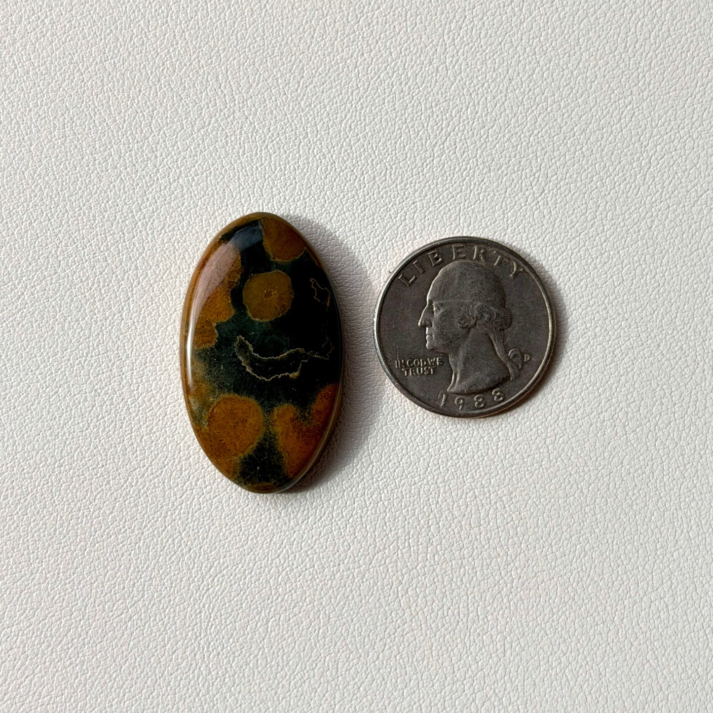 Oval stone with brown and black patterns next to a U.S. quarter on a light gray background