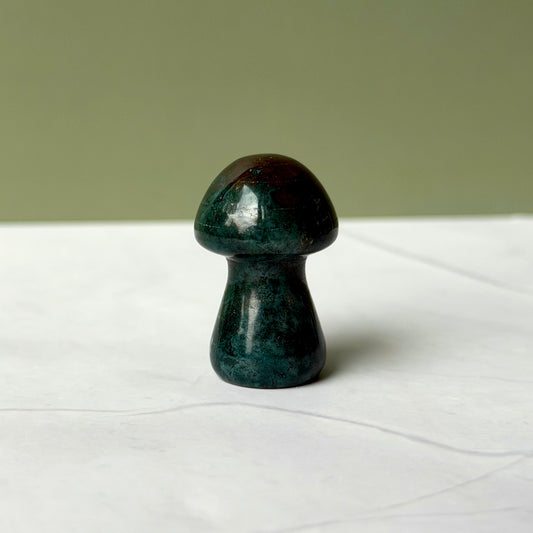 Indian agate mushroom