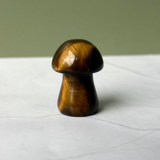 Tigers Eye Mushroom