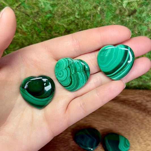 Three green malachite stones held in a hand with a natural background