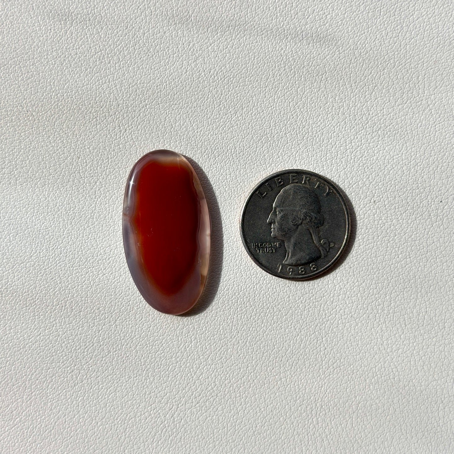 Brown oval stone next to a U.S. quarter on a light gray background